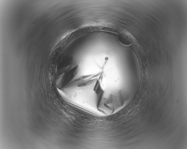 X0000052941064200508050850