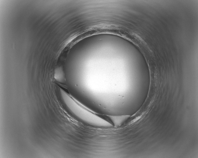 X0000052941065200508050850