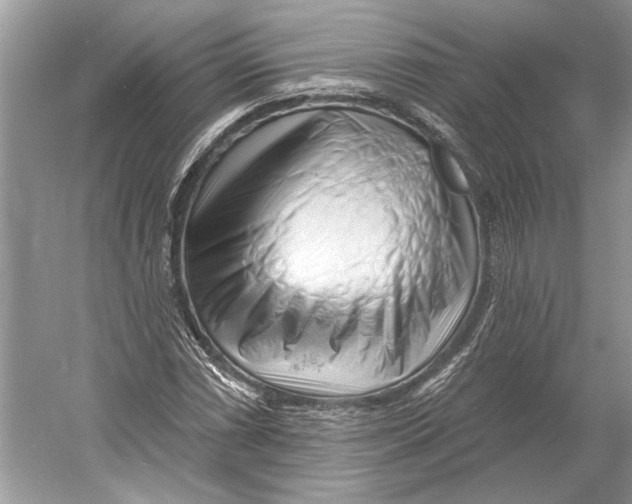 X0000052941066200508050850