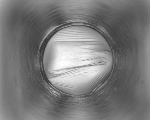 X0000052941068200508050850