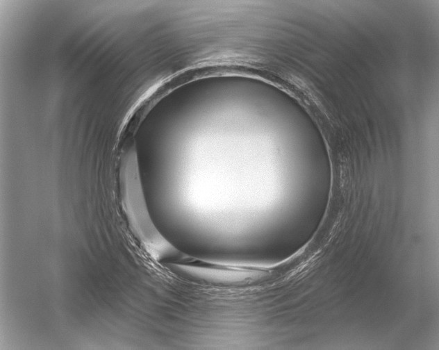 X0000052941069200508050850