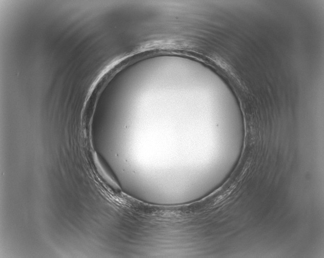 X0000052941070200508050850