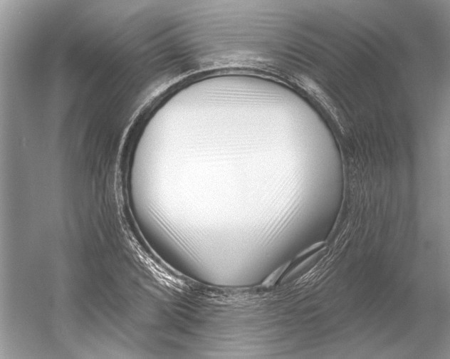 X0000052941072200508050849