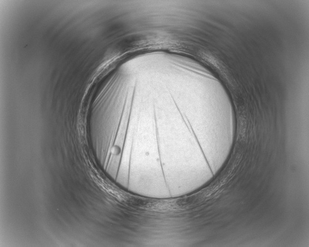 X0000052941074200508050849