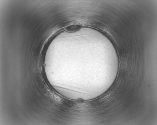 X0000052941075200508050849