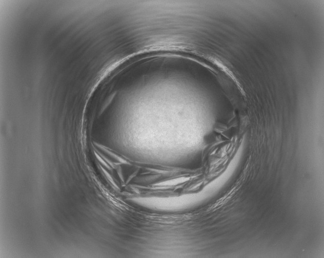 X0000052941077200508050849