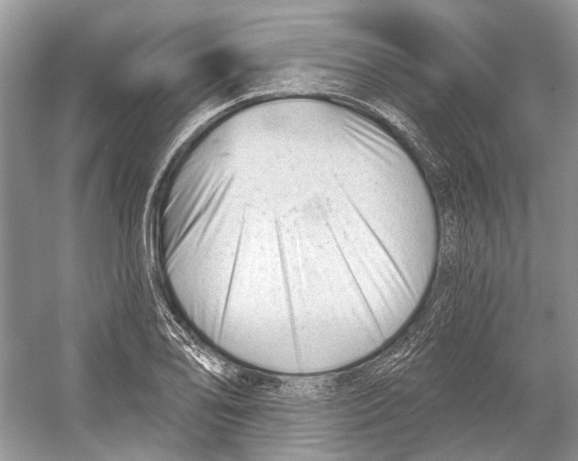 X0000052941078200508050849