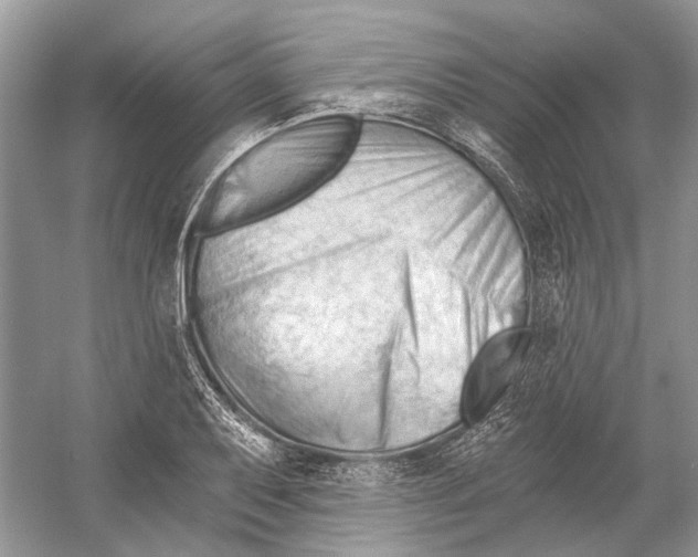 X0000052941079200508050849