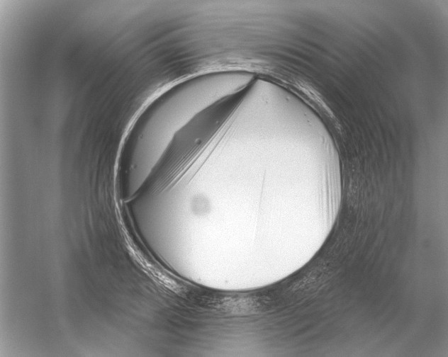 X0000052941080200508050849