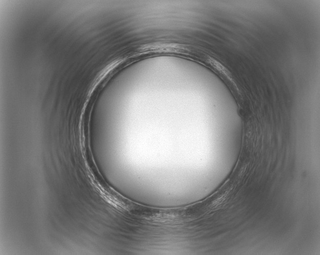 X0000052941082200508050849