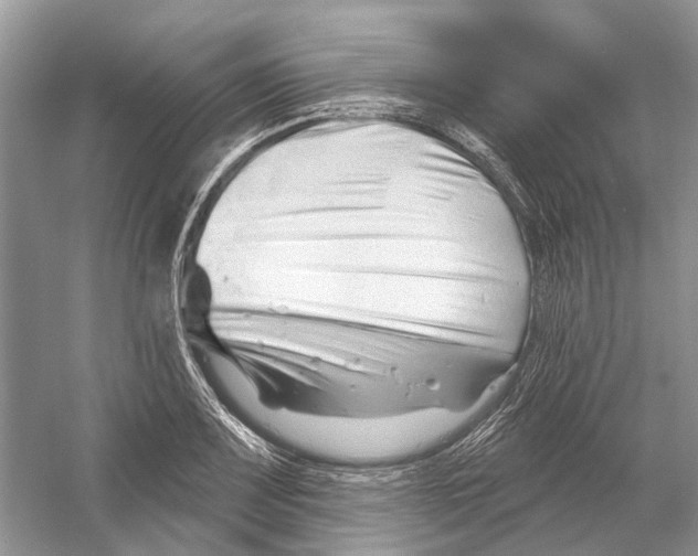 X0000052941083200508050849