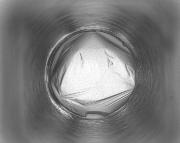 X0000052941084200508050849