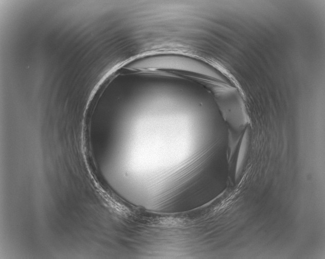 X0000052941085200508050849