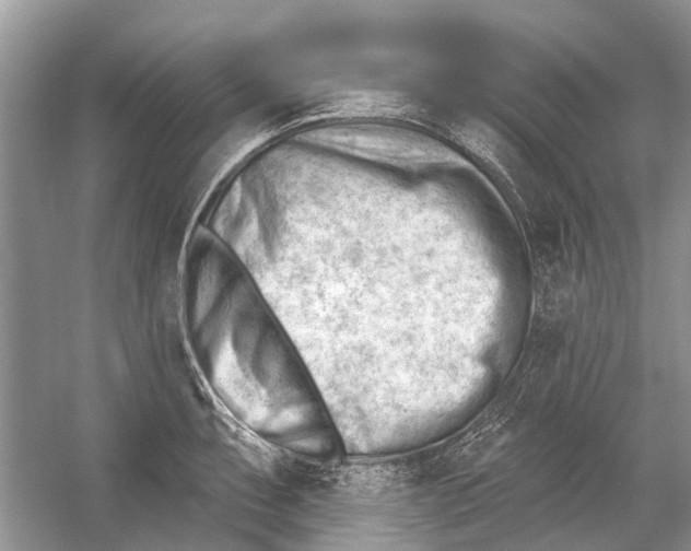 X0000052941087200508050849