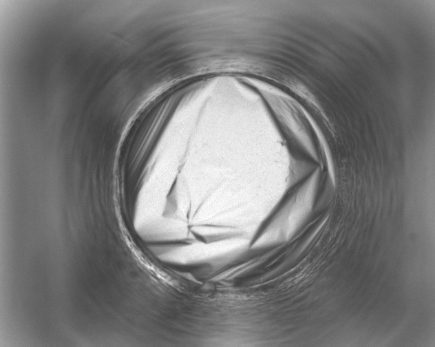 X0000052941088200508050849