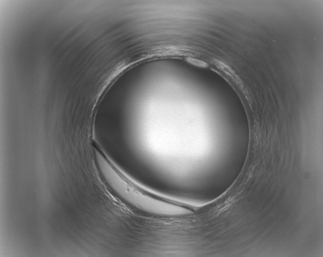 X0000052941089200508050849