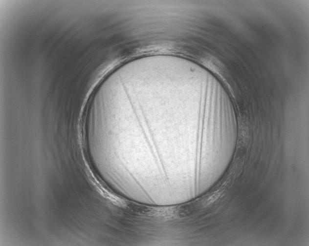 X0000052941090200508050849