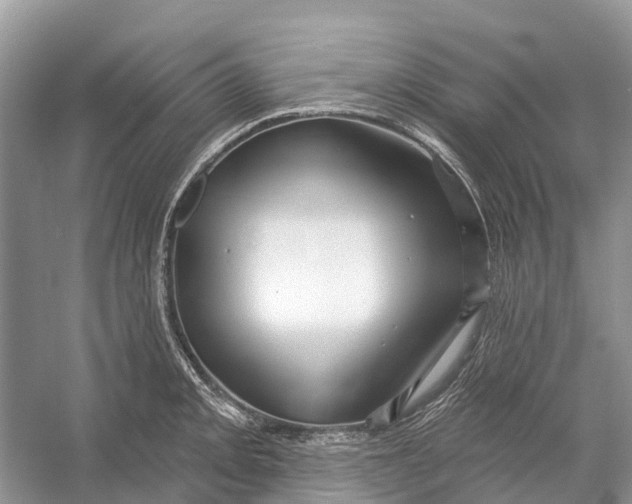 X0000052941093200508050849