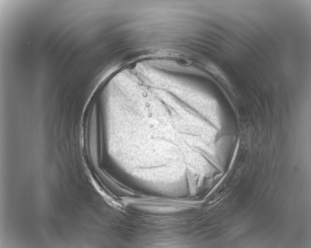 X0000052941095200508050849