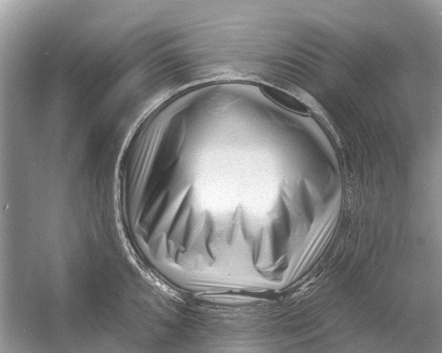 X0000052941096200508050849