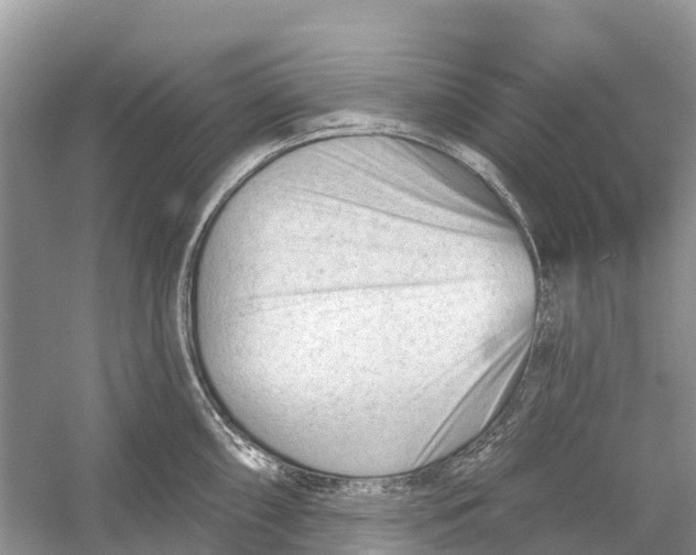 X0000052941098200508050849