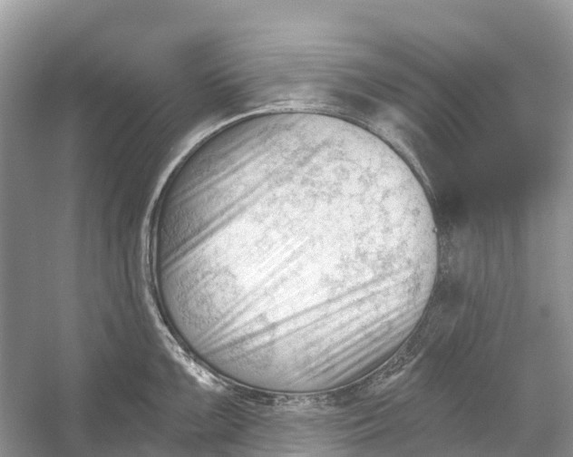 X0000052941099200508050849