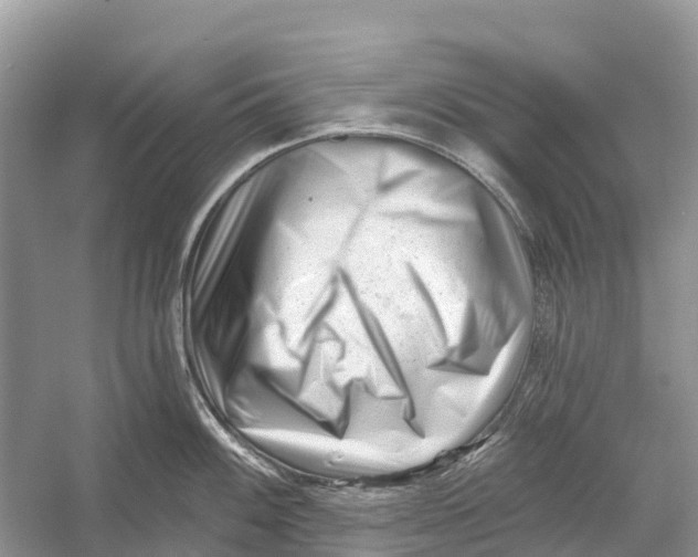 X0000052941100200508050849