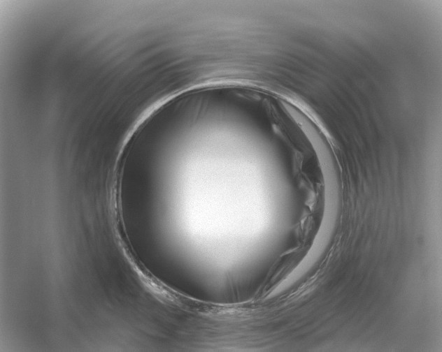 X0000052941101200508050849