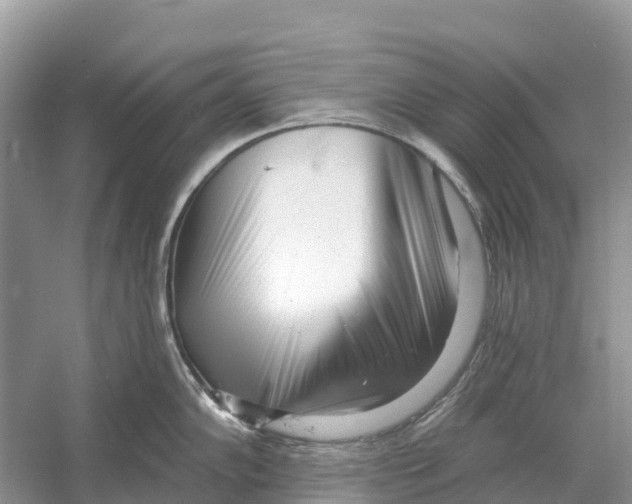 X0000052941102200508050849