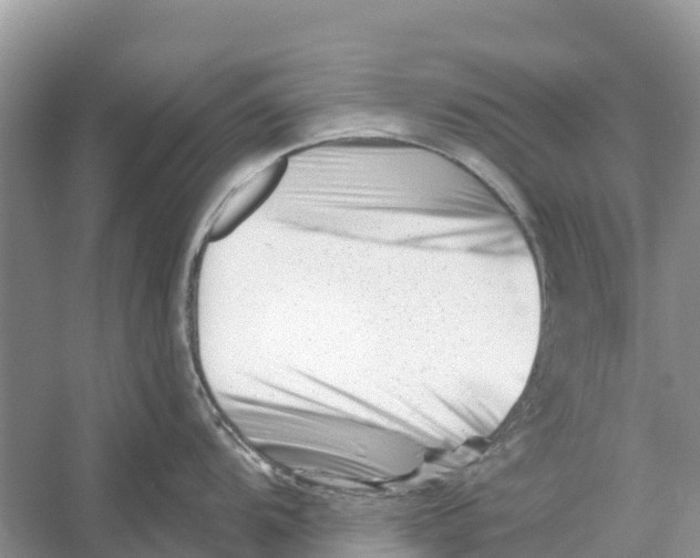 X0000052941104200508050849