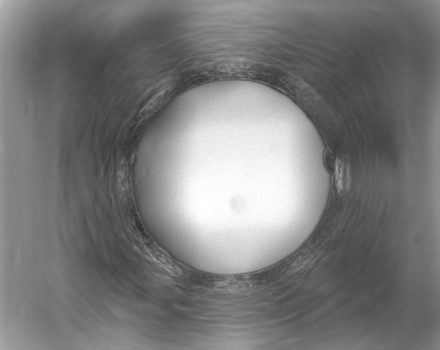 X0000052941107200508050848