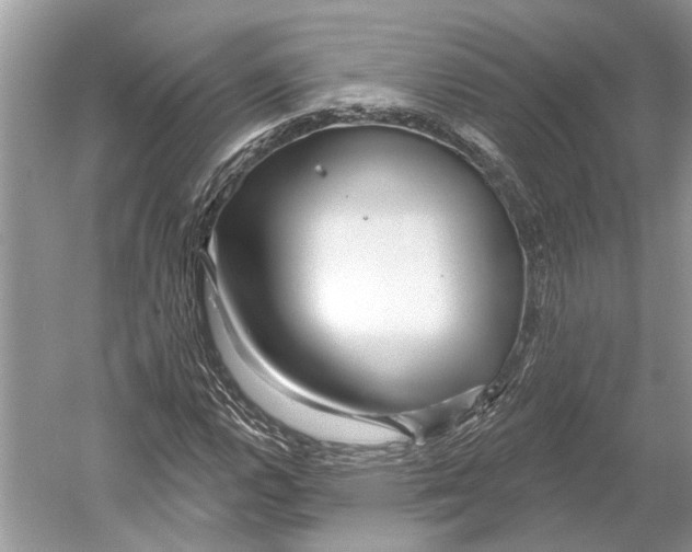 X0000052941112200508050848