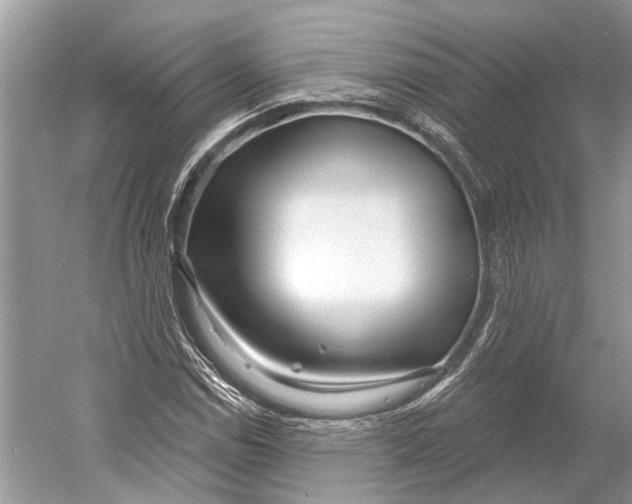 X0000052941114200508050848