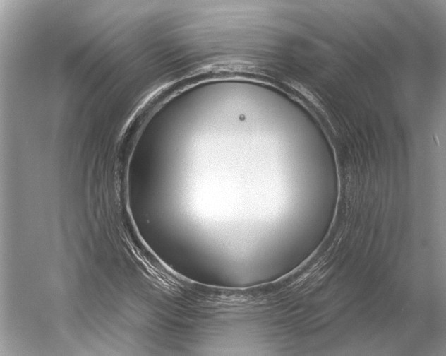 X0000052941115200508050848