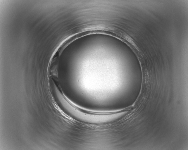 X0000052941116200508050848