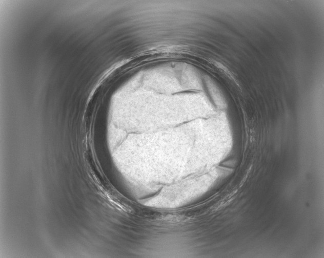 X0000052941117200508050848