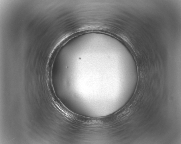 X0000052941119200508050848