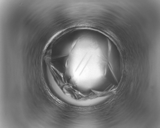 X0000052941120200508050848