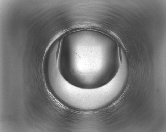 X0000052941122200508050848