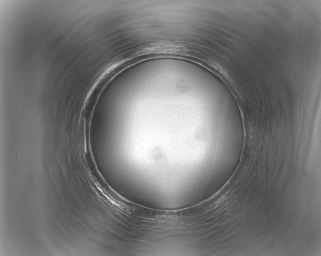 X0000052941123200508050848