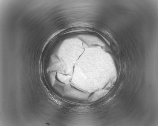 X0000052941125200508050848