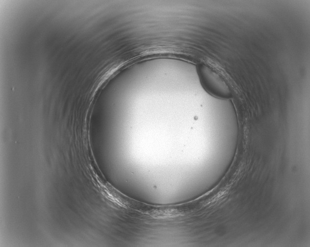 X0000052941129200508050849