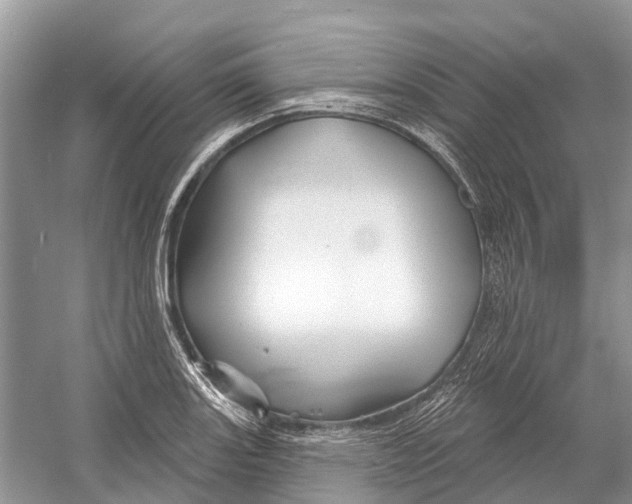 X0000052941131200508050849