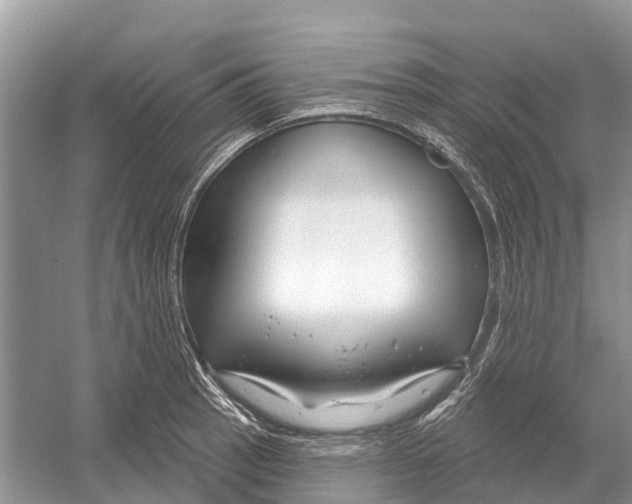 X0000052941137200508050849