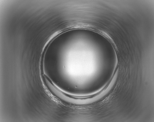 X0000052941138200508050849