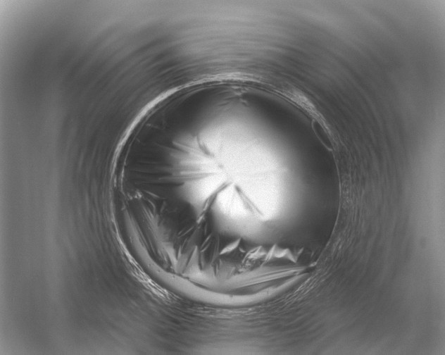 X0000052941140200508050849