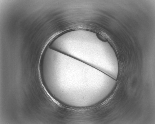 X0000052941141200508050849