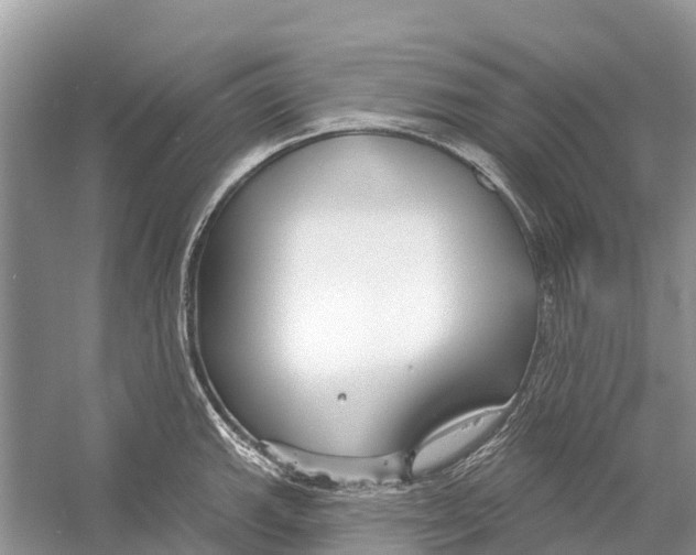 X0000052941143200508050849