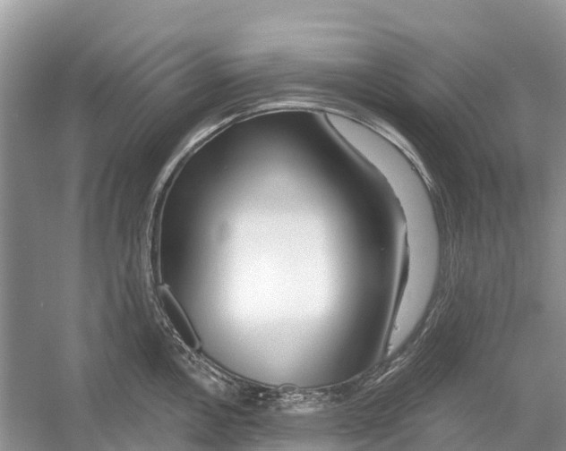 X0000052941146200508050849