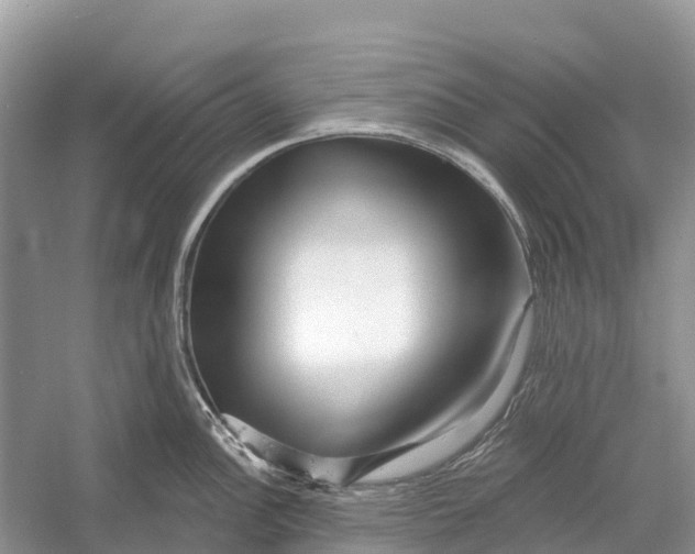 X0000052941148200508050849